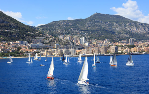 Actualités | Arthaud Yachting Actualités | Arthaud Yachting