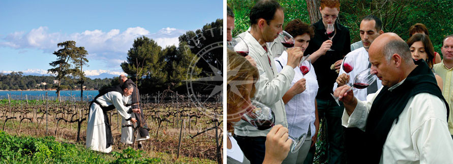 Wine degustation in Iles de Lérins 