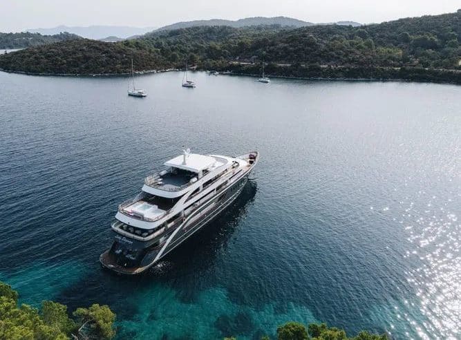 charter-m-y-lady-eleganza
