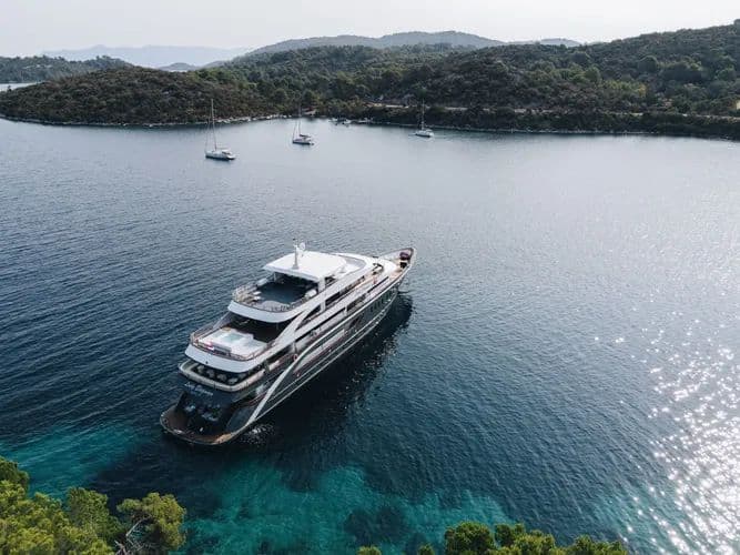 charter-m-y-lady-eleganza