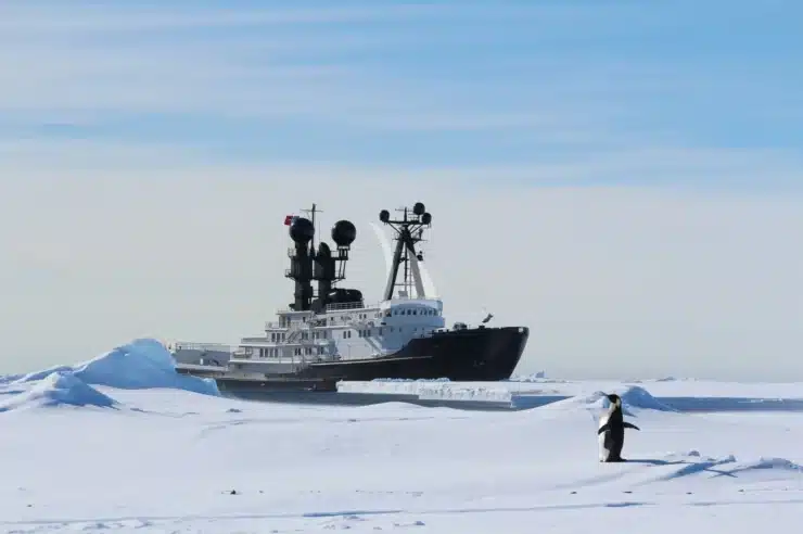 Yacht Charter ARCTIC exterior